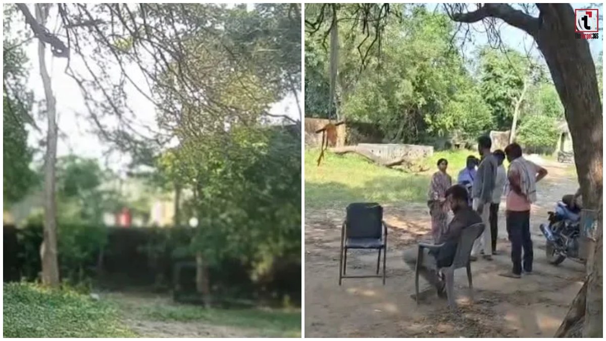 Child Swing Accident