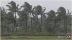 Cyclone Arnab Alert