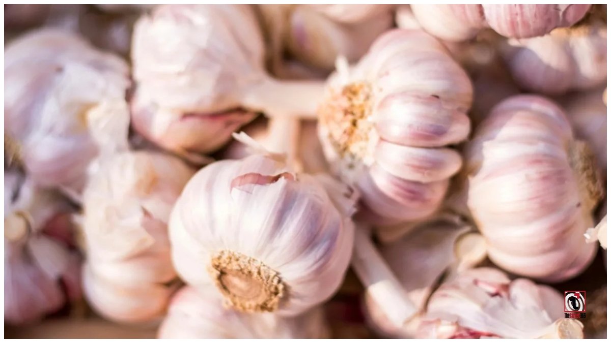 Garlic Health Benefits