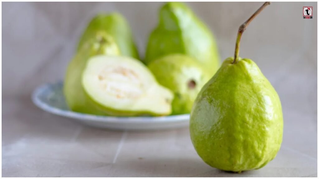 Guava for Diabetes : डायबिटीज में अमरूद खाते हैं तो इन बातों का रखें ध्यान, न्यूट्रिशनिस्ट की सलाह