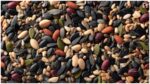 Healthy Seeds