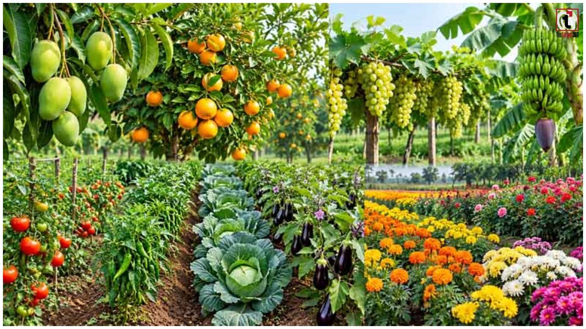 Horticulture Subsidy 2026