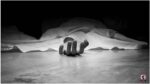 Karnataka Poisoning Case