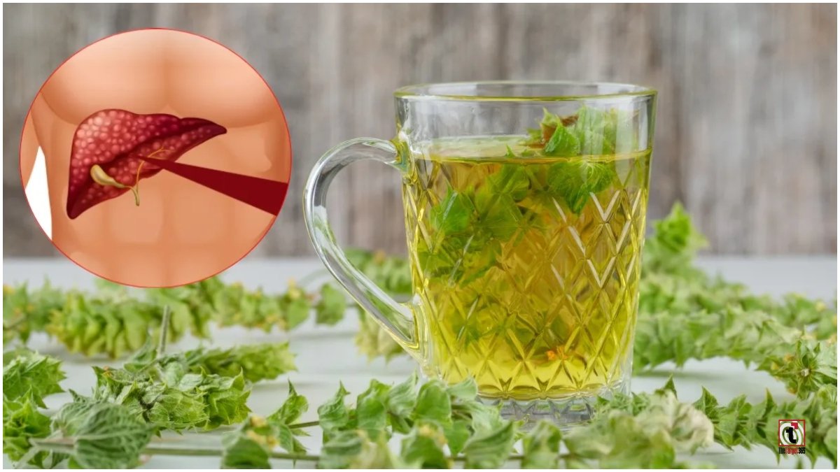 Liver Health Tips