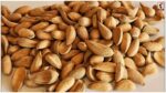 Mamra Almond Benefits