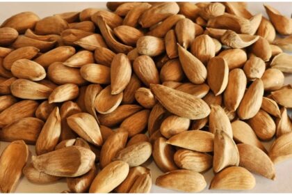 Mamra Almond Benefits