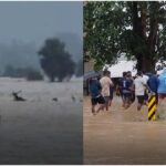 Odisha Flood News