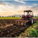 Rabi Crop 2026 : रबी फसल पर सूखे का साया, बुवाई से पहले किसान कौन से काम करें?