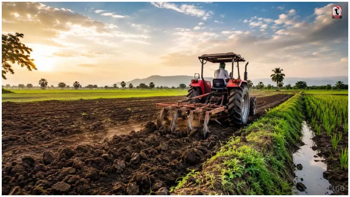 Rabi Crop 2026