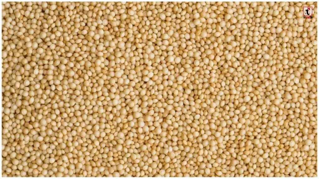 Rajgira Benefits: 14 दिन राजगिरा खाने से क्या होता है? एक्सपर्ट ने बताए फायदे और खाने का सही तरीका