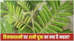Shami Tree Worship