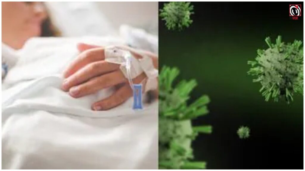 Shamonda Virus : फ्रांस में ‘शमोंडा’ वायरस का पहला इंसानी मामला, मरीज की मौत से बढ़ी चिंता