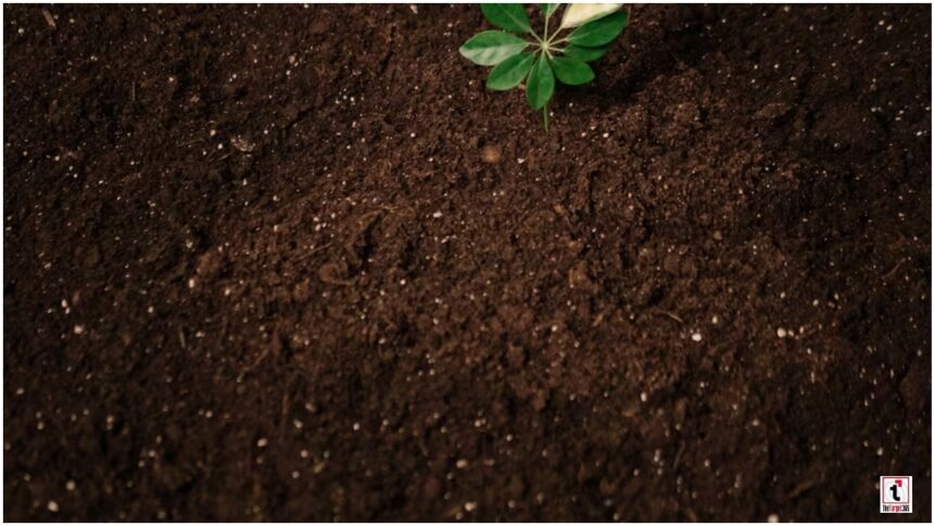 Soil Health