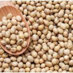 Soybean Bhavantar Yojana: किसानों को राहत, अब 24 अक्टूबर तक करें रजिस्ट्रेशन