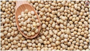 Soybean Bhavantar Yojana