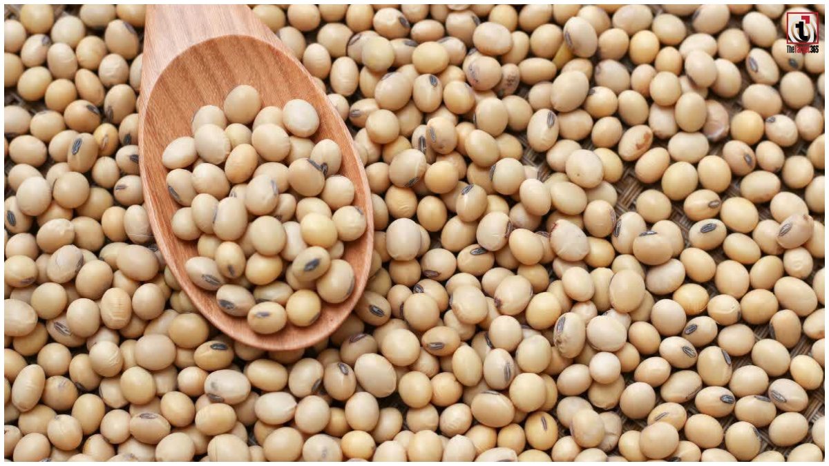 Soybean Bhavantar Yojana