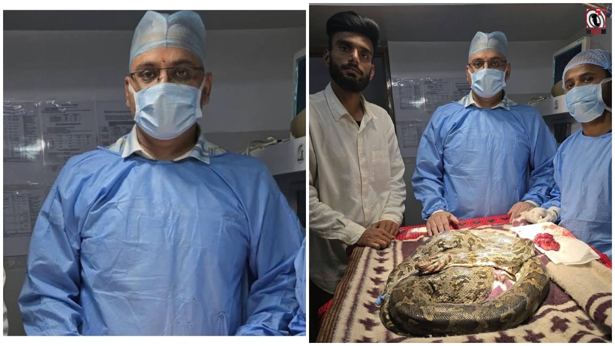 Surguja Python Rescue