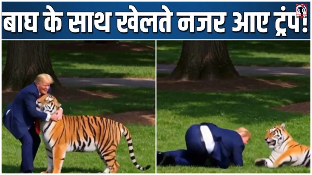Trump AI Tiger Video