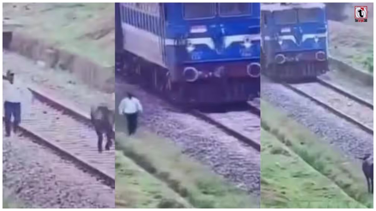 Viral Video
