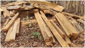 Wood Smuggling