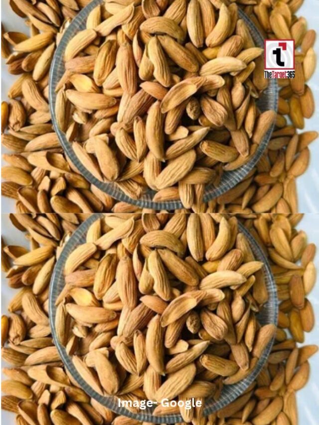 मामरा बादाम क्यों है खास? जानें इसके फायदे