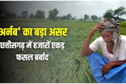 Cyclone Arnab Chhattisgarh