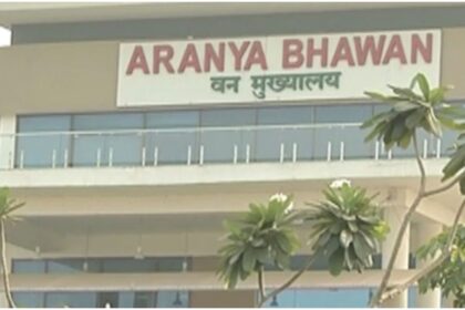 छत्तीसगढ़ वन विभाग में बड़ा प्रशासनिक फेरबदल