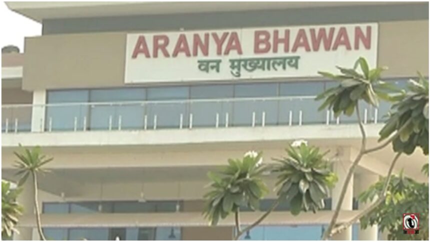 छत्तीसगढ़ वन विभाग में बड़ा प्रशासनिक फेरबदल