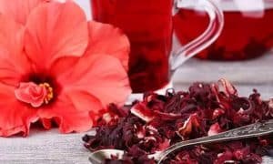 वेट लॉस से लेके बालों को चमकदार बनाने में असरदार है हिबिस्कस टी, जाने इसके अचूक फायदे