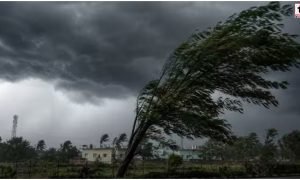 Aaj Ka Mausam 14 August
