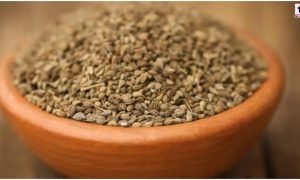 Ajwain Benefits