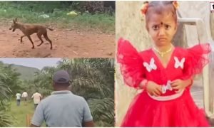 Andhra Pradesh