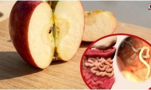 Apple Benefits