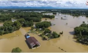 Assam Flood