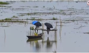 Assam Flood 2026