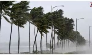 August Monsoon