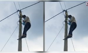 Balodabazar Electricity Theft