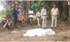 Balrampur Elephant Attack
