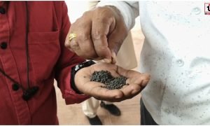 Bastar Fertilizer Row:
