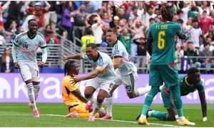 Belgium vs Senegal