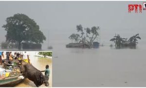 Bihar Flood
