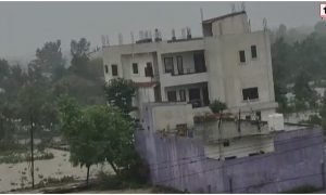 Bilaspur Flood News