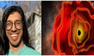 Black Hole Star