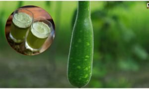Bottle Gourd Juice