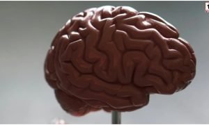 Brain Cancer Symptoms