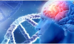 Brain Injury Prevention