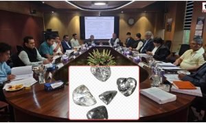 CG Diamond Mining