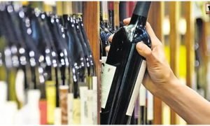 CG Excise SI Suspended