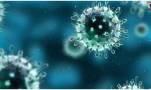 Chhattisgarh Swine Flu