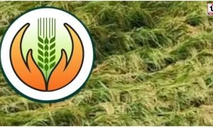 CG Kisan News